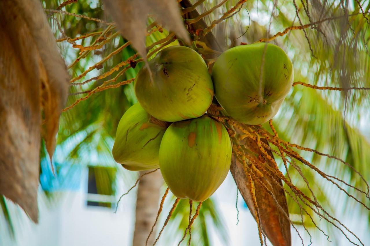 Pwani Beach Boutique Hotel Zanzibar ปวานี มาชังกานี ภายนอก รูปภาพ