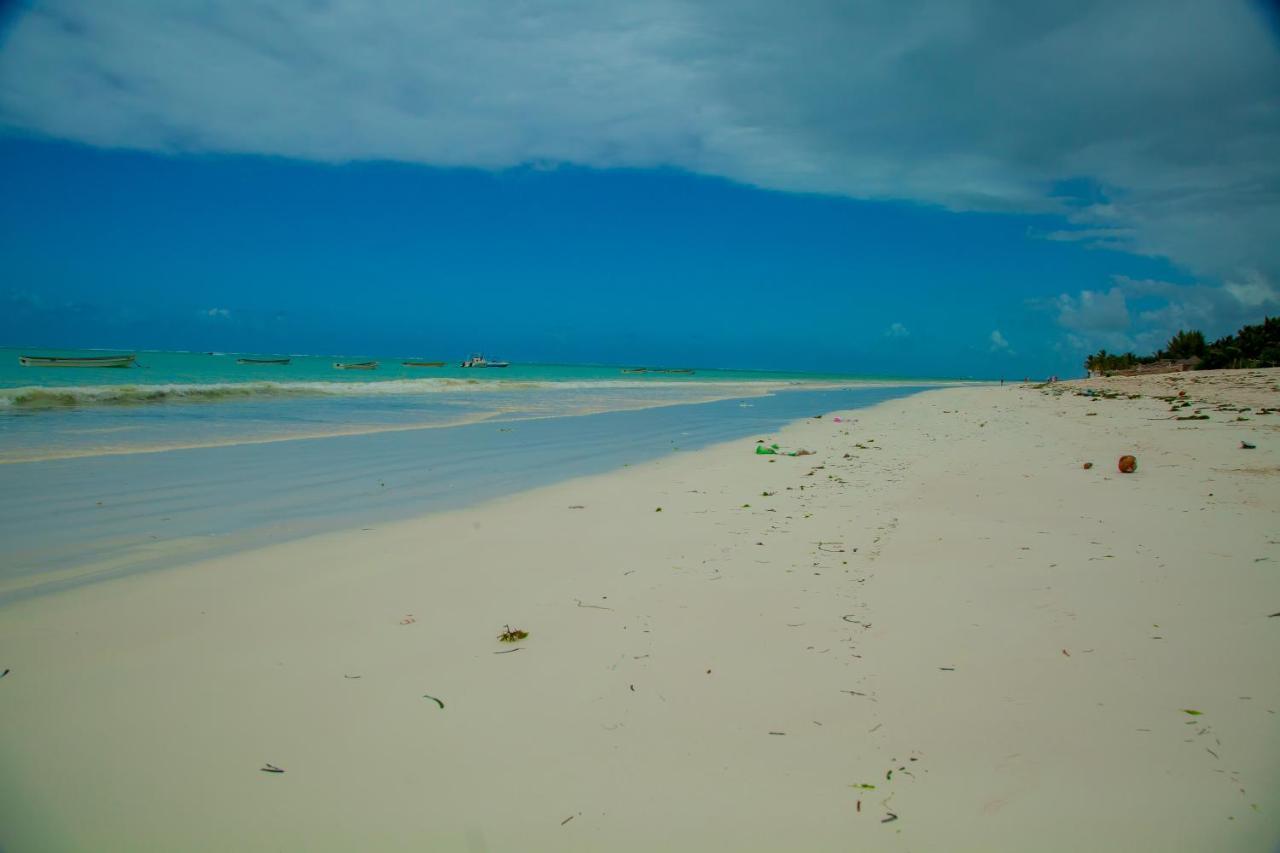 Pwani Beach Boutique Hotel Zanzibar ปวานี มาชังกานี ภายนอก รูปภาพ