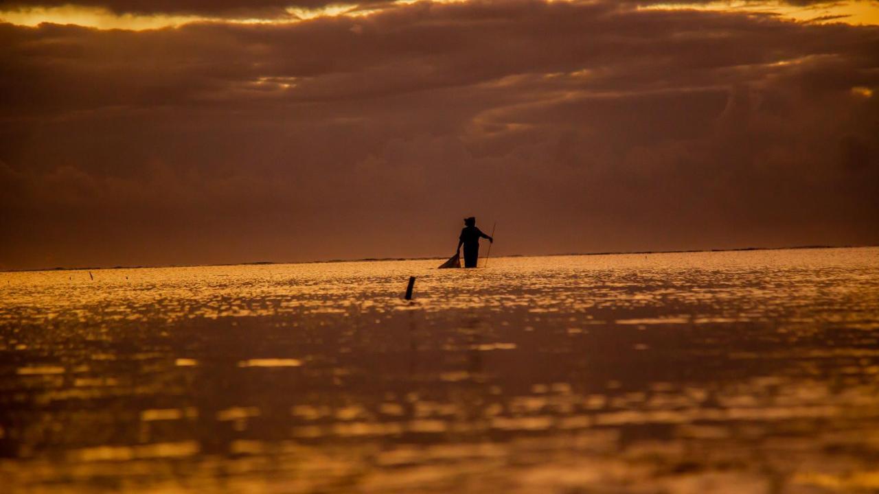 Pwani Beach Boutique Hotel Zanzibar ปวานี มาชังกานี ภายนอก รูปภาพ